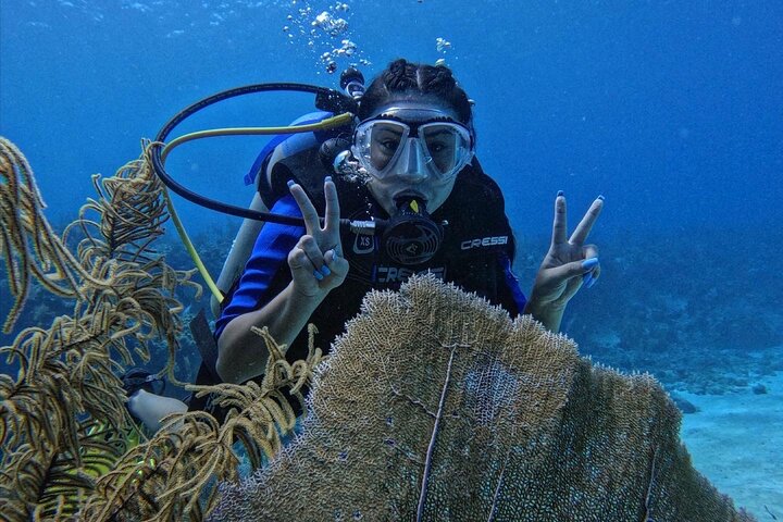 Private Diving Experience for Beginners in San Andres Islands