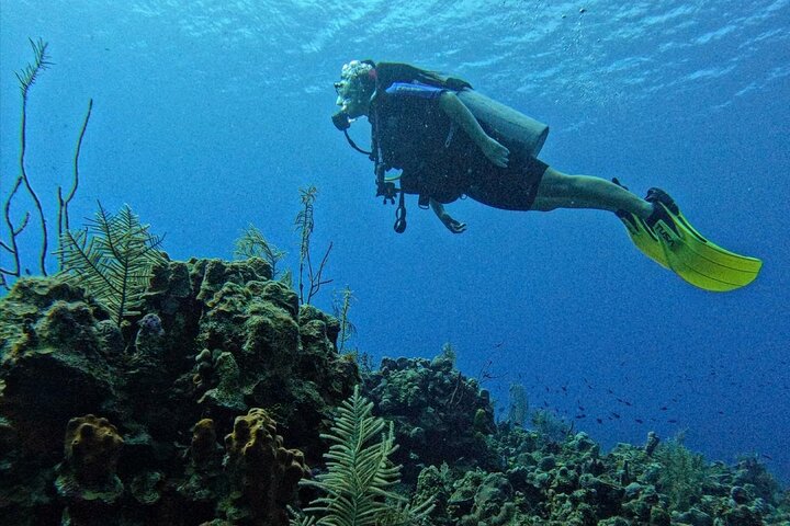 Private Diving Experience for Beginners in San Andres Islands