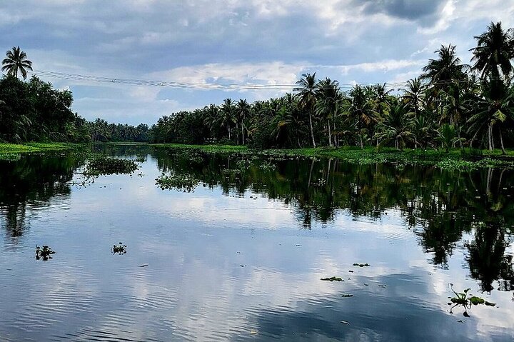 Cochin: Backwater Village Eco Boat Cruise with Lunch