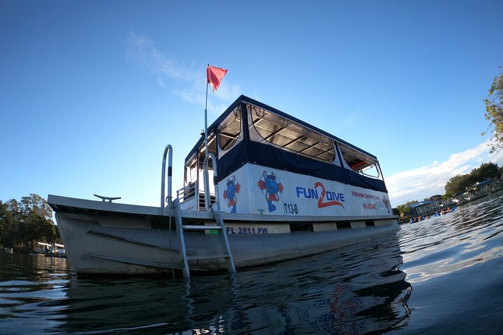 Most Popular 3hr Manatee Swim Tour + In-Water Guide!