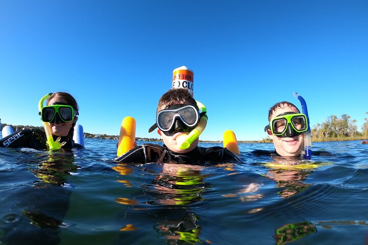 Most Popular 3hr Manatee Swim Tour + In-Water Guide!