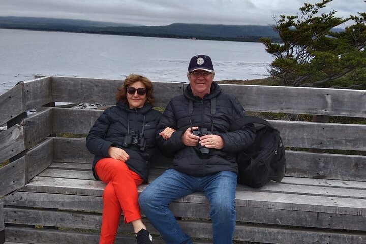 Punta Arenas and Magellan Strait Tour
