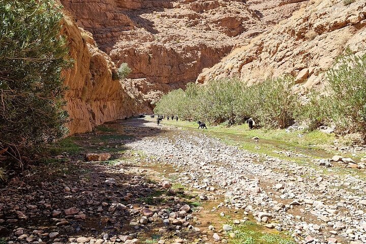Trekking and Climbing in Dades Gorges