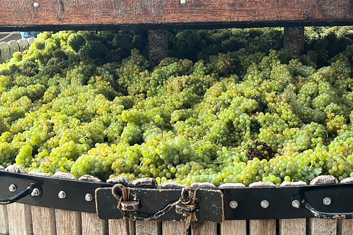 Food & Champagne Experience from Epernay (Private tour)