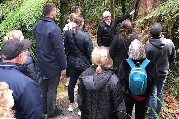 Punakaiki Blow Holes & Pancake Rocks Scenic Tour