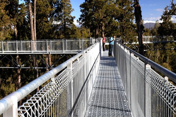West Coast Tower Zipline & Treetop Walk Combo