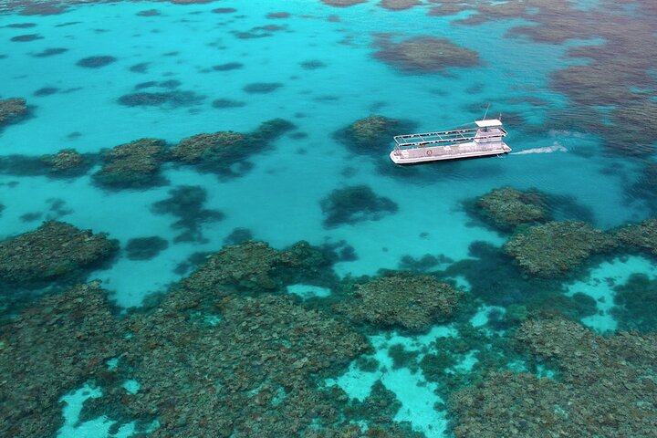 Quicksilver Outer Great Barrier Reef Snorkel Cruise from Palm Cove