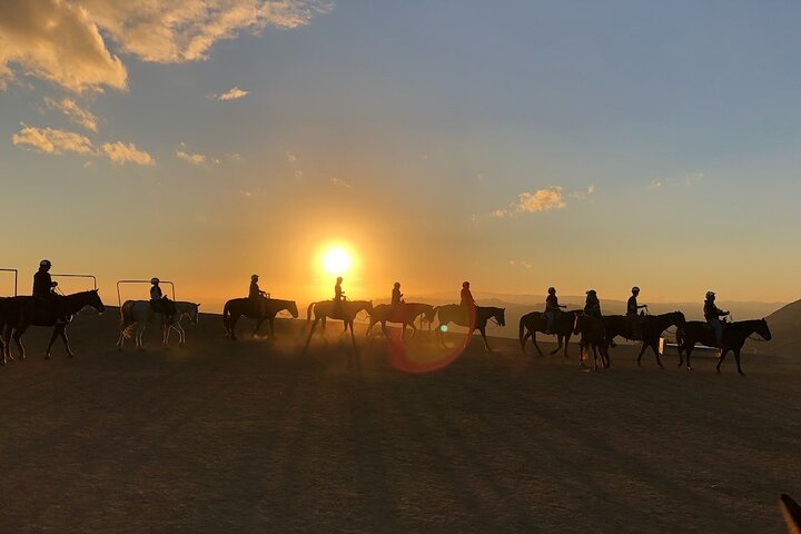 Mulholland Trail Horseback Tour