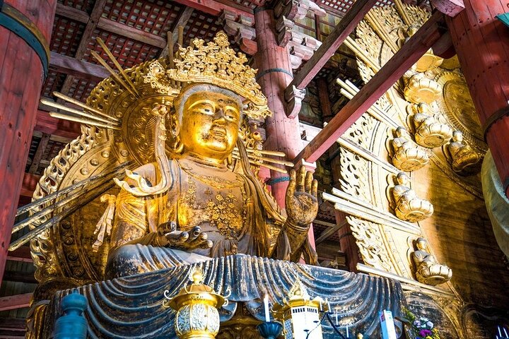 Arashiyama & Nara Highlights: One-Day Private Tour Adventure