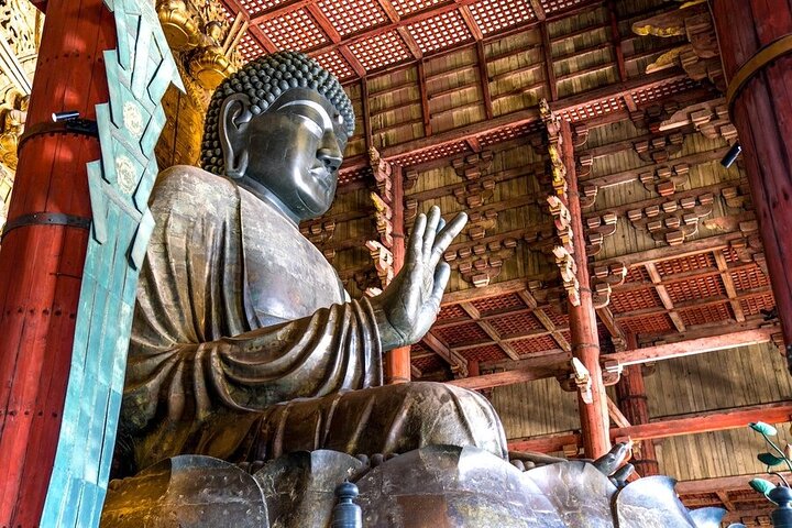 Arashiyama & Nara Highlights: One-Day Private Tour Adventure