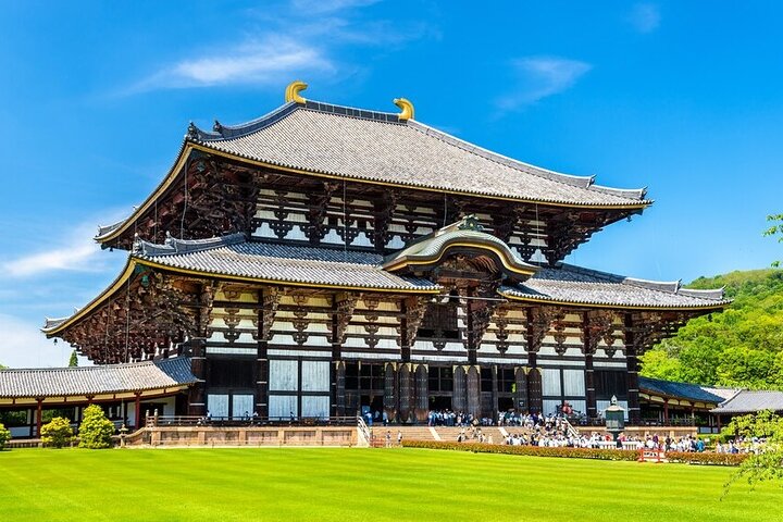 Arashiyama & Nara Highlights: One-Day Private Tour Adventure