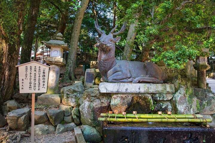 Arashiyama & Nara Highlights: One-Day Private Tour Adventure