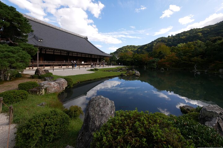 Arashiyama & Nara Highlights: One-Day Private Tour Adventure