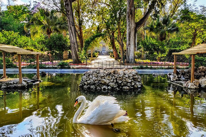 Mdina, Dingli Cliffs and San Anton Gardens Half-Day Guided Tour