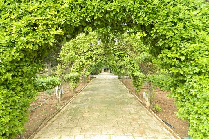 Mdina, Dingli Cliffs and San Anton Gardens Half-Day Guided Tour