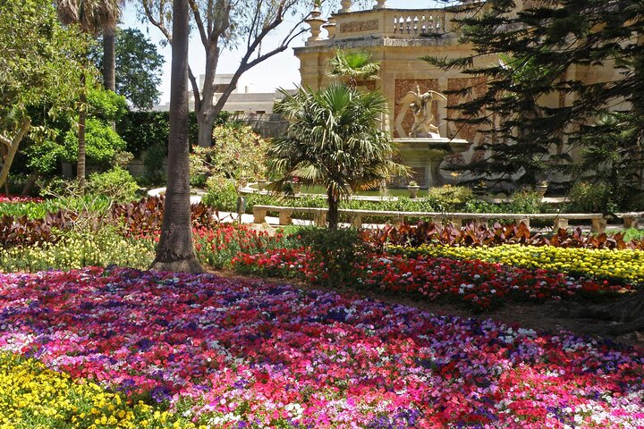 Mdina, Dingli Cliffs and San Anton Gardens Half-Day Guided Tour