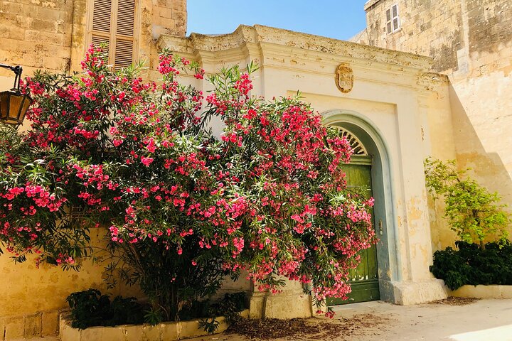 Mdina, Dingli Cliffs and San Anton Gardens Half-Day Guided Tour