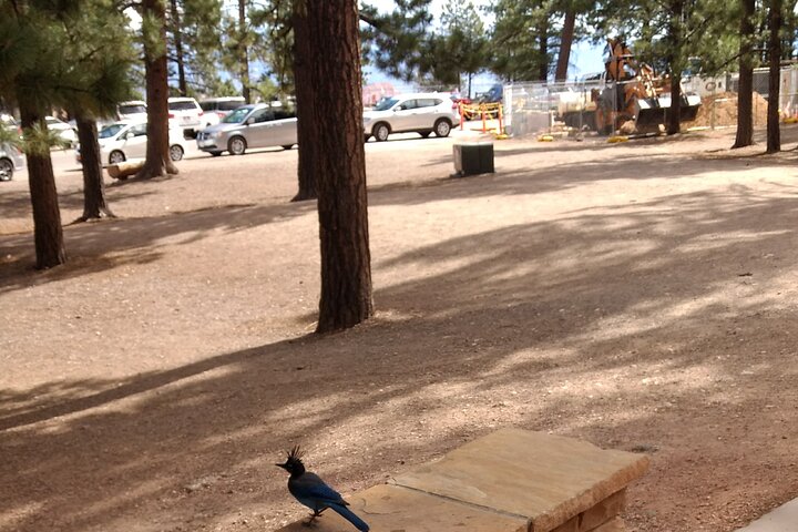 Bryce Canyon E-bike Tour