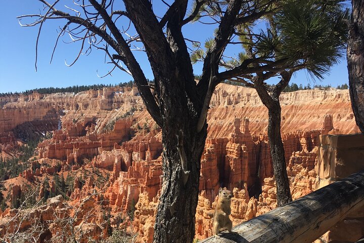 Bryce Canyon E-bike Tour