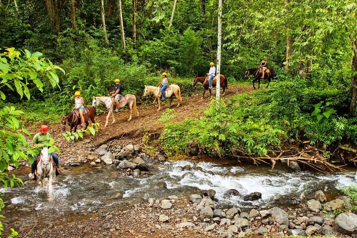 Full Day Pass Jaco Jungle Adventure Five in One with Lunch