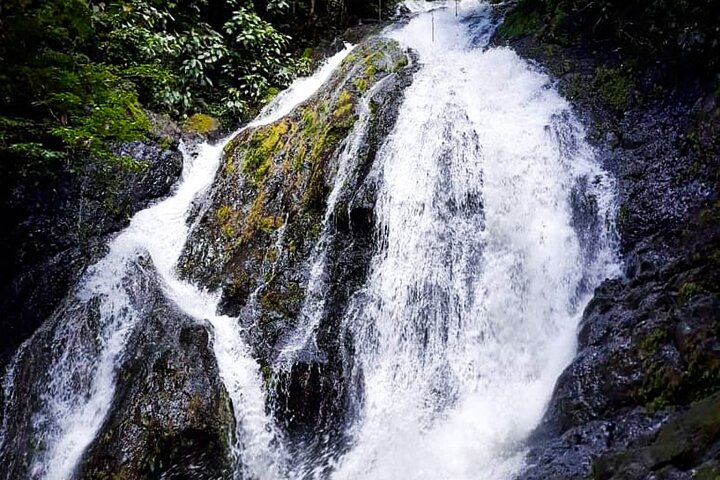 5 Hour Off-Road ATV+ Zipline+ Waterfall Rappelling+ Tractor Jungle Tour