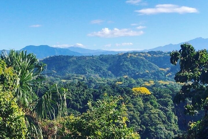 Full Day Pass Jaco Jungle Adventure Five in One with Lunch
