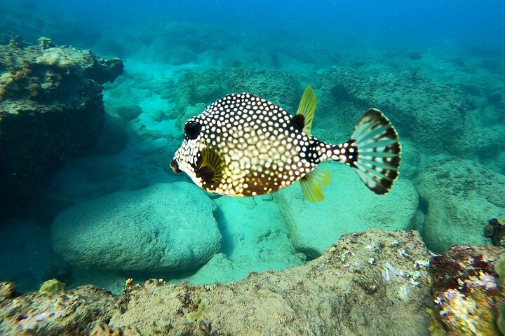 Snorkeling Adventure in Aguadilla