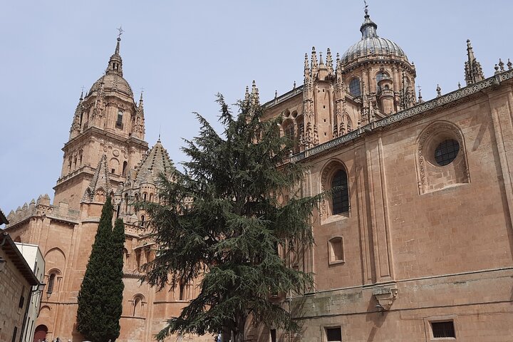 Special Private Tour for Families with Children in Salamanca