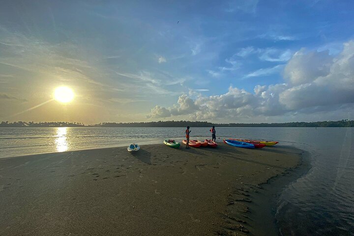 Kayaking in Mangrove Forest of Paravur Backwaters near Varkala and Kollam