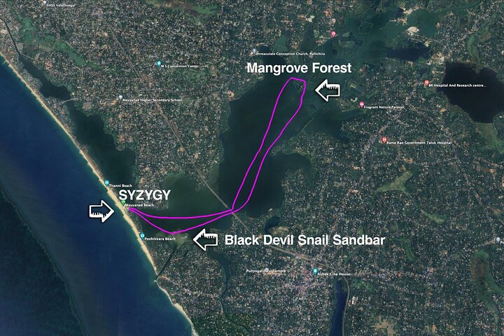 Kayaking in Mangrove Forest of Paravur Backwaters near Varkala and Kollam