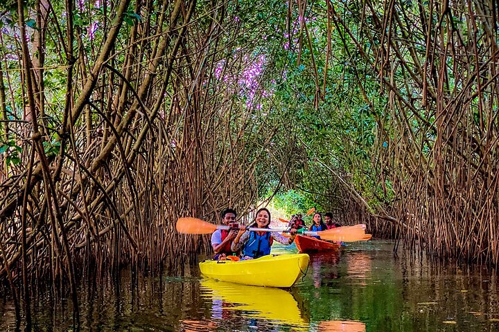 Kayaking in Mangrove Forest of Paravur Backwaters near Varkala and Kollam