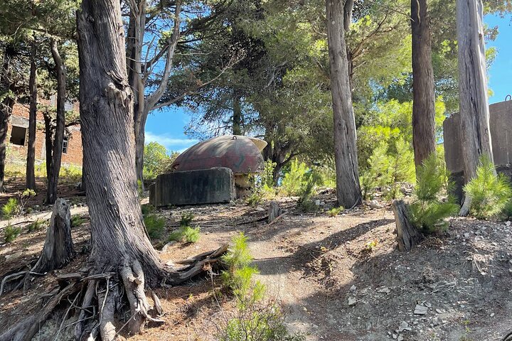 Vlore Speedboat Tour to Sazan Island & Haxhi Ali Cave