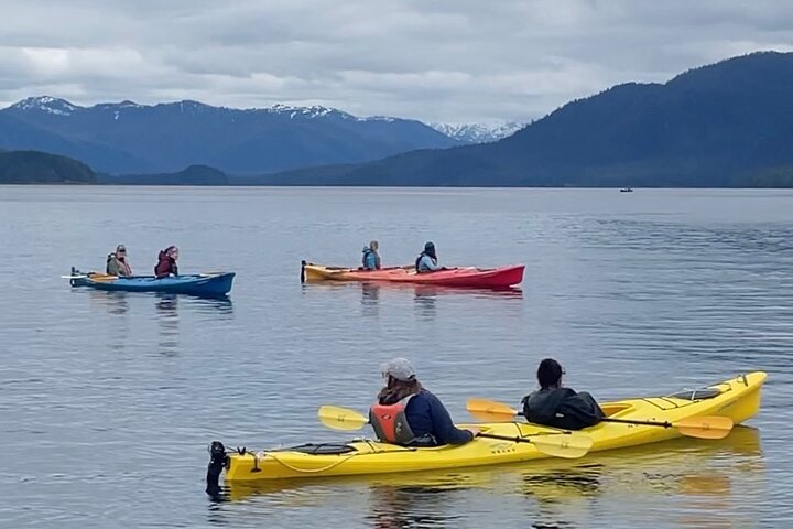 Ketchikan Kayak Eco-Tour