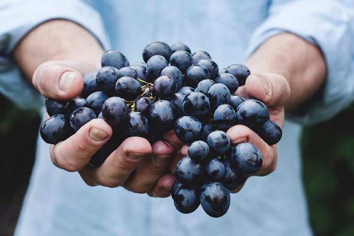Tour Etna and Wine Tasting