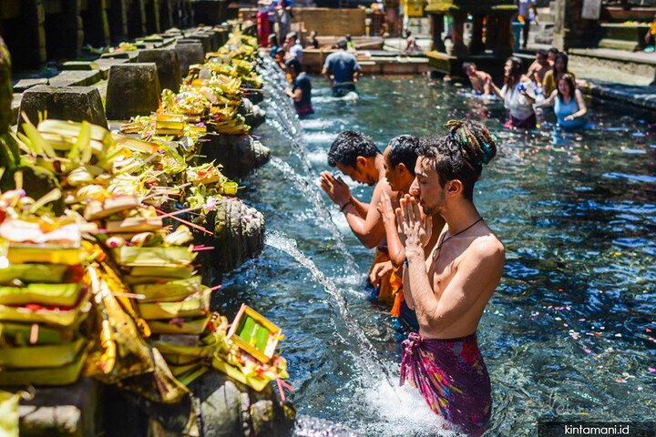 Ubud: Monkey Forest, Jungle Swing, Rice Terrace and Water Temple