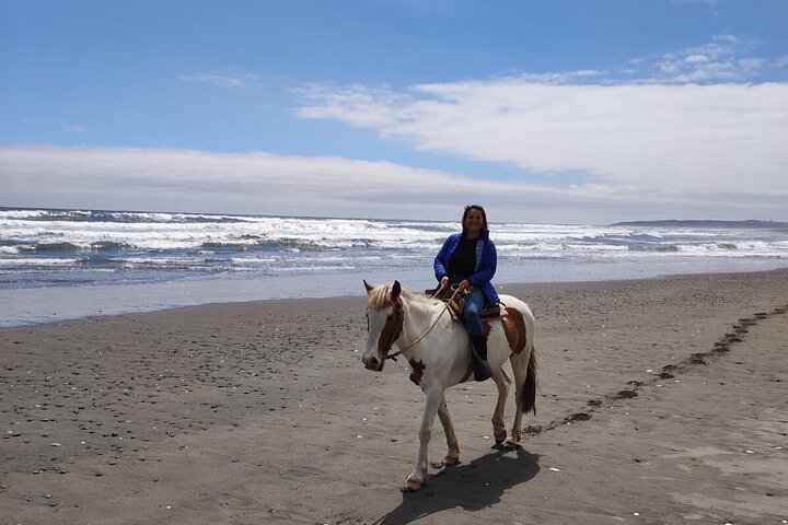 Mauco Hill Hiking & Horseback Riding on the Beach From VALPARAISO