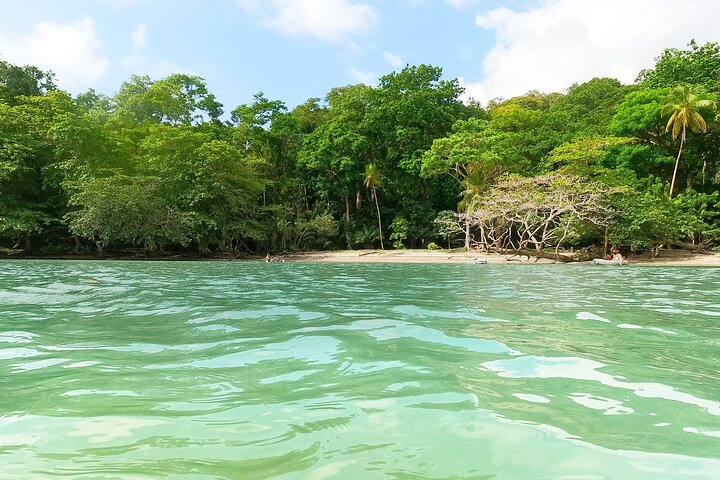 Caribbean Catamaran Day Cruise: Beaches, Snorkeling & Lunch