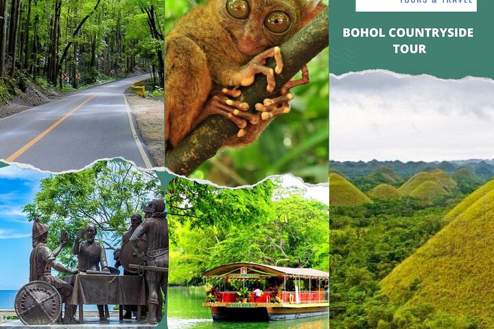 Bohol Countryside Tour from Cebu Loboc River Cruise with Lunch