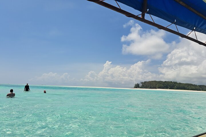 Mnemba Island snorkeling and Swimming with Dolphin
