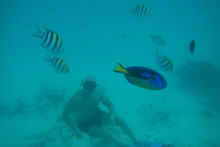 Mnemba Island snorkeling and Swimming with Dolphin