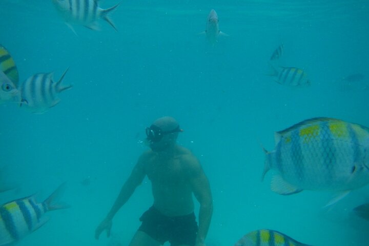 Mnemba Island snorkeling and Swimming with Dolphin