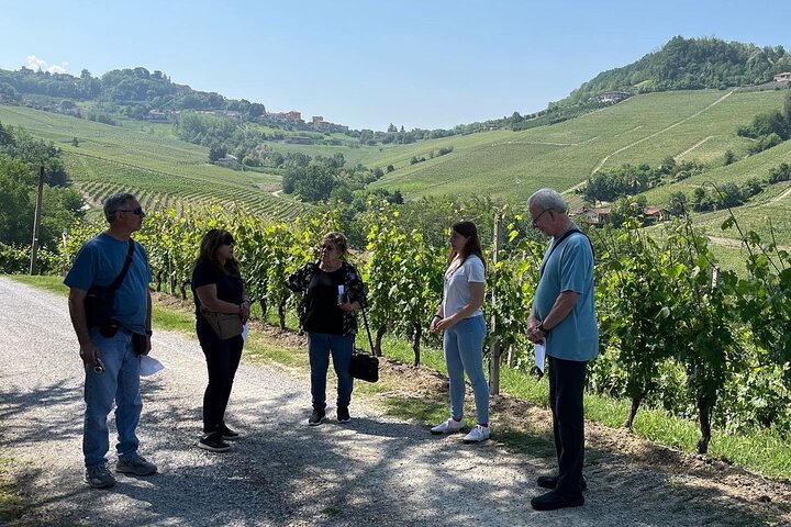 Barolo & Barbaresco Wine Tour with a Winemaker