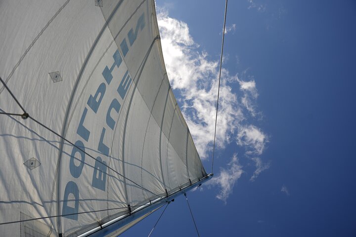 Blue Dolphin - Public Catamaran Tour - Tamarindo