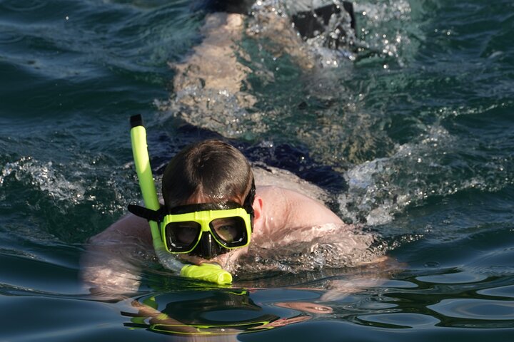 Blue Dolphin - Public Catamaran Tour - Tamarindo