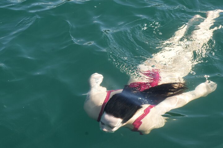 Blue Dolphin - Public Catamaran Tour - Tamarindo