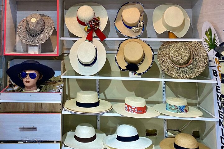 Rainforest Wildlife, Panama Hat makers, Traditional Cuisine. SHORE TOUR