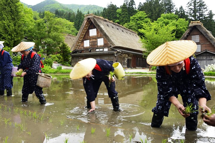 Takayama to Kanazawa via Shirakawa-go: Car & Driver Only