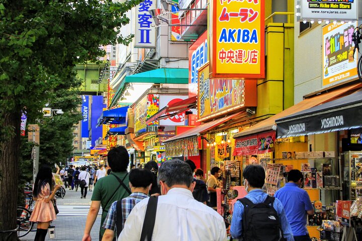 1-Day Tokyo Bus Tour