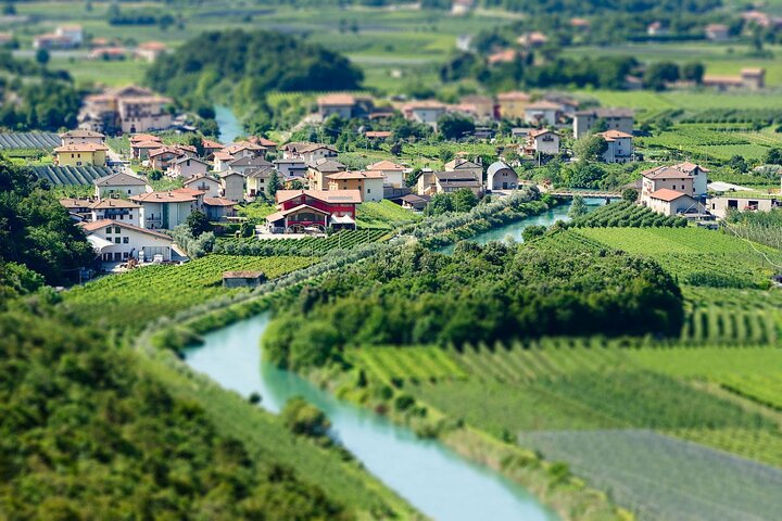Trentino Wine Journey: Organic Vineyards & Local Delights