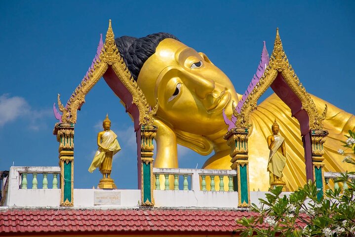 Phuket Giant Water Lilies & Temple Tour - Private & All-Inclusive